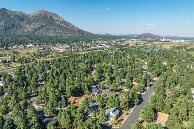 Elk Run is set in North America's largest ponderosa pine forest.