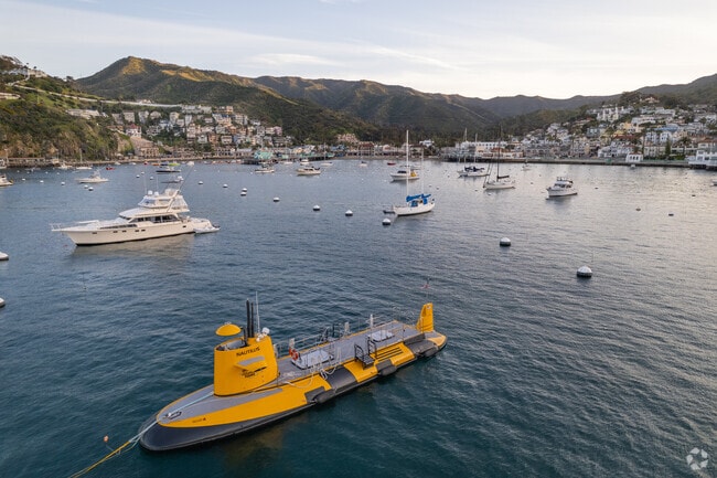 The Catalina Island Undersea Sub Expedition gives riders glass walls for up-close views of marine life.