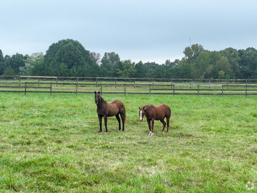 neighborhood_Northlake_514392_phase2_101024_v02