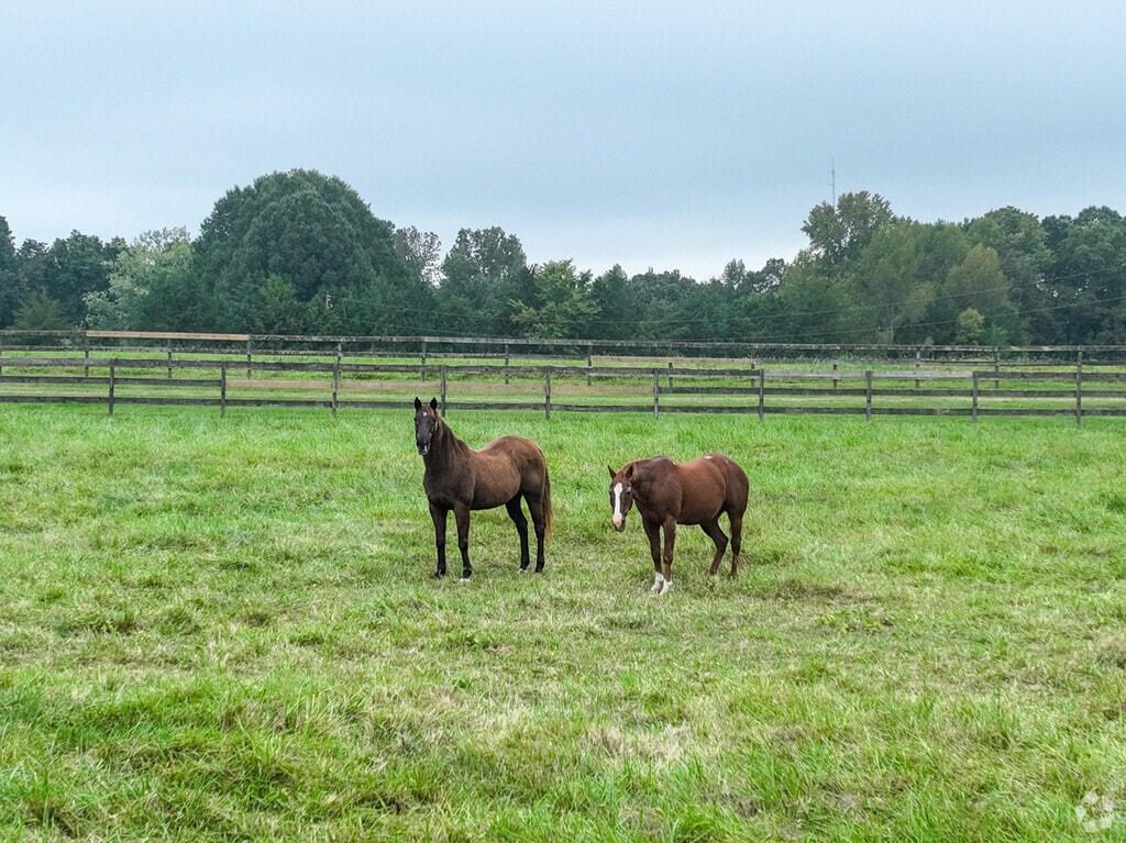 About Northlake Schools, Demographics, Things to Do