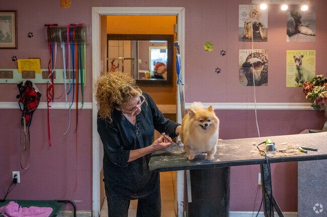 Wellingtons Dog Grooming has been owned and operated for 40 years by Renee Roma in Port Chester.