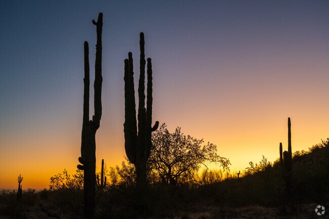 Enjoy a beautiful desert sunset at Peoria Regional Preserve, just 10 miles east of Vistancia.
