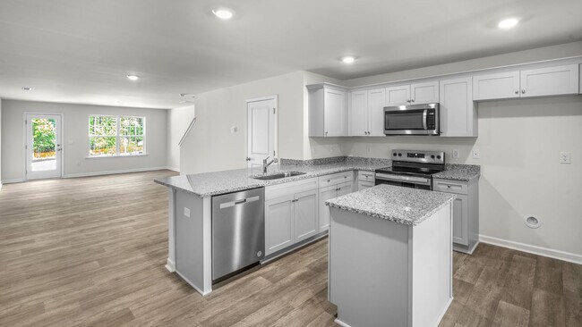 8746 Asher Gray Way unit 36210143, Raleigh, NC 27616 - photo 3