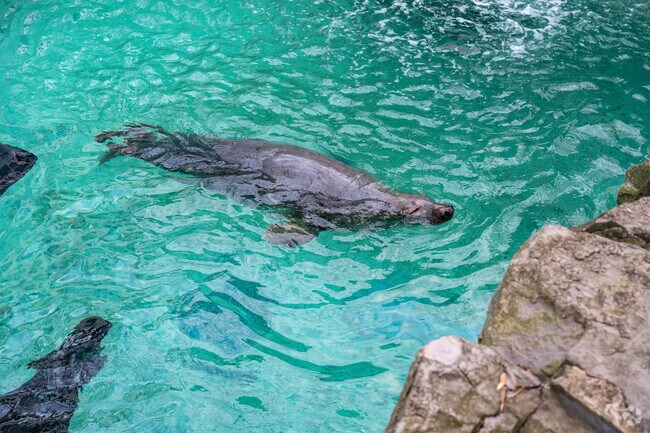 Head to the Aquarium near North End and see some sea life.