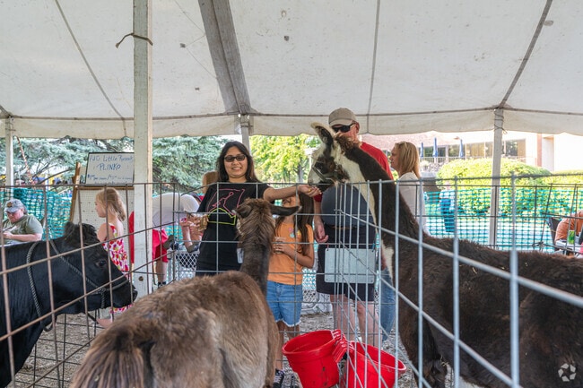 Hickory Oaks families appreciate the petting zoo at Pathways PathFest in Bolingbrook.