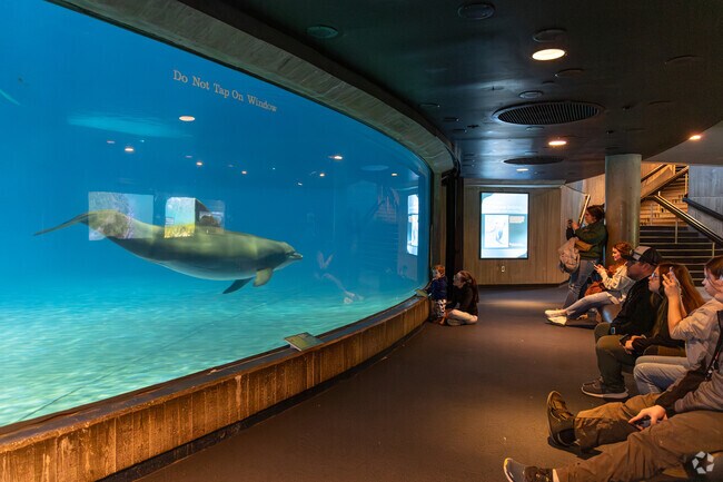 Go to the National Aquarium to view the dolphins or thousands of other creatures of the sea.