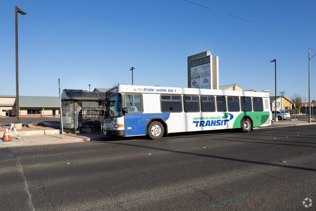 Imperial Valley Transit is the bus system available in Holtville.