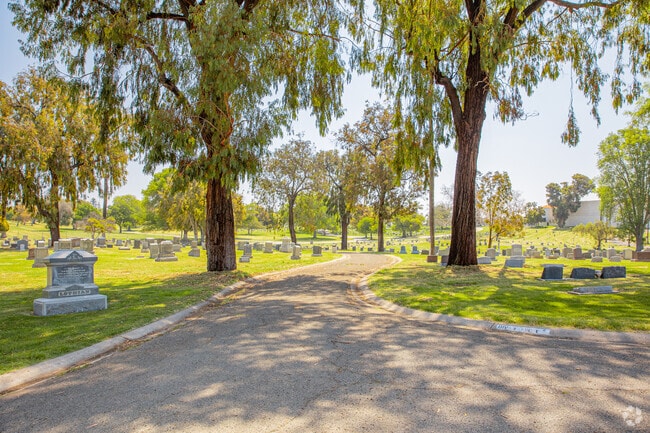 One of the oldest cemeteries in San Diego, Mount Hope Cemetery, is a shady place to reflect.