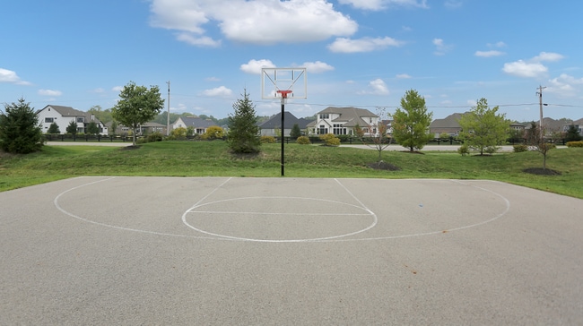 Basketball Courts