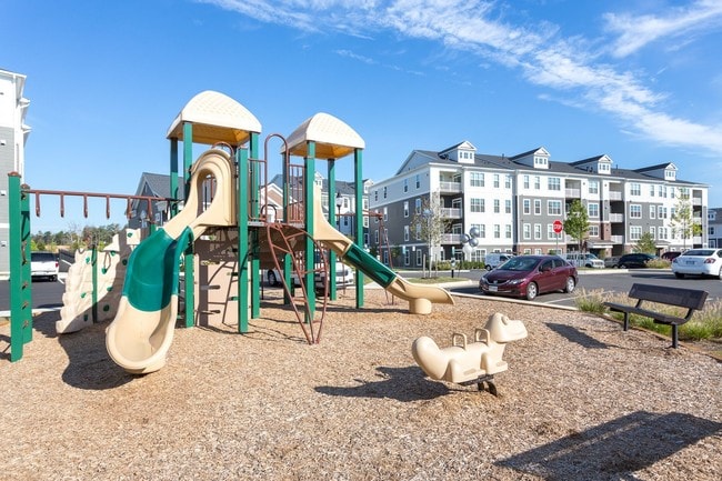 The Elms at Arcola, Sterling, VA 20166 - photo 6