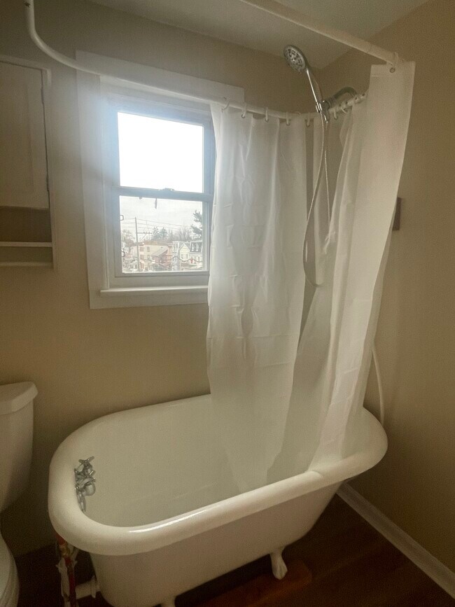 42 Ann St unit C, Middletown, PA 17057 - photo 4