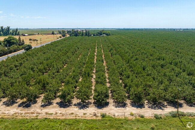 Oakdale is a vibrant community nestled amidst lush, productive farmland, offering a unique blend of rural charm and agricultural abundance.