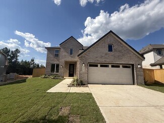 26794 Frontier Trace Dr, Montgomery, TX 77316