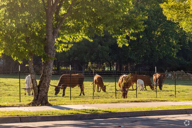Walnut Creek Valley provides residents with a blend of country and city life.