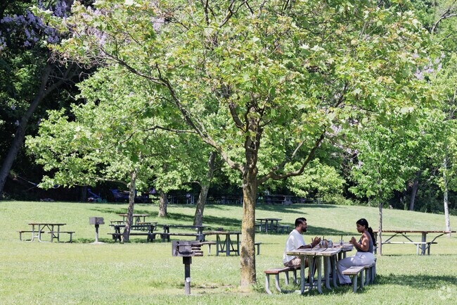There are many shady tables perfect for a picnic at Ross Dock Park.