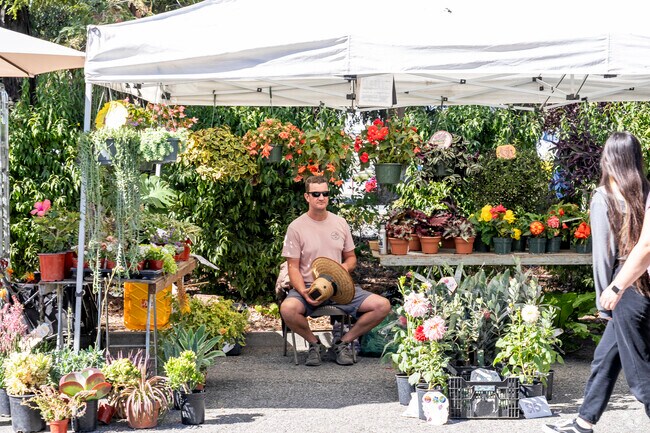 Fresh flowers, vegetables, and more await you at West Valley College Farmers Market.