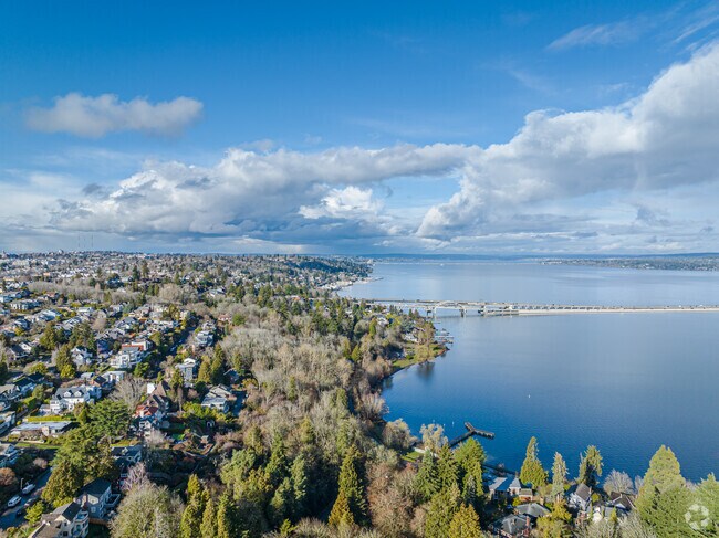 Shoreline of Lake Washington looking north