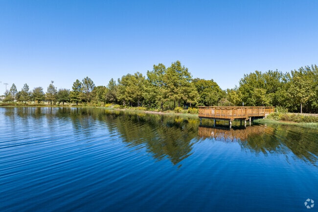 Relax and picnic by the scenic pond at Russell Creek Park in Plano.