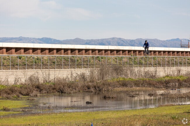 Elevated Bay Trail offers stunning views of Foster City wetlands.