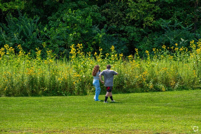 Terrace Meadows nature lovers will enjoy Jackson Morrow Park.
