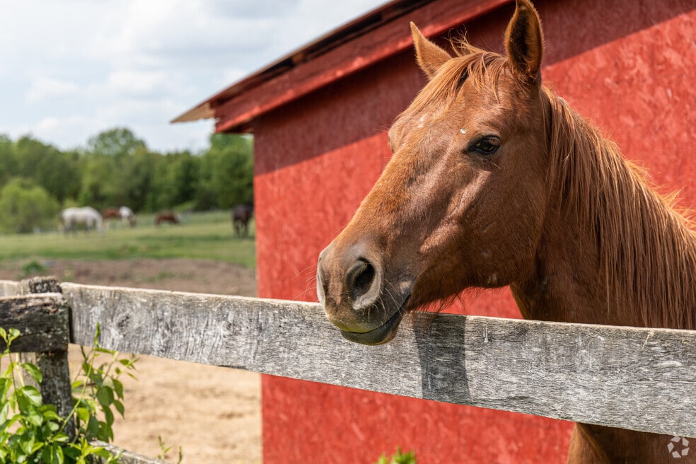 Neighborhood_Windbrook_v1_111323