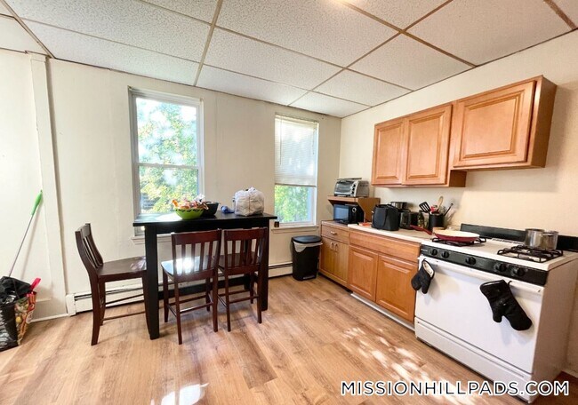1572 Tremont St unit 2, Roxbury Crossing, MA 02120 - photo 4