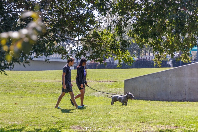 Walking, biking, and jogging paths are clean and abundant in the Albany Historic District.