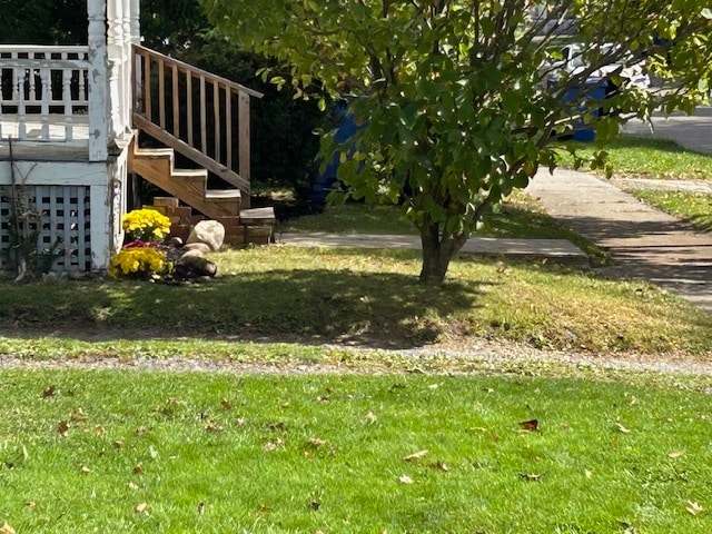 66 Lincoln Ave unit Student Housing, Cortland, NY 13045 - photo 2