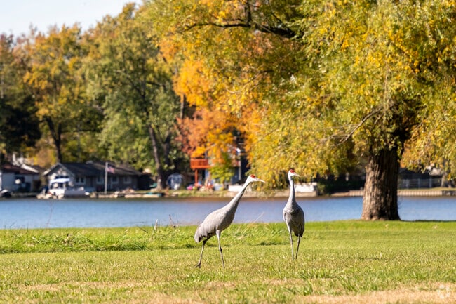 Vandercook Lake’s 145-acre waterway is ideal for kayaking, fishing, and relaxation.