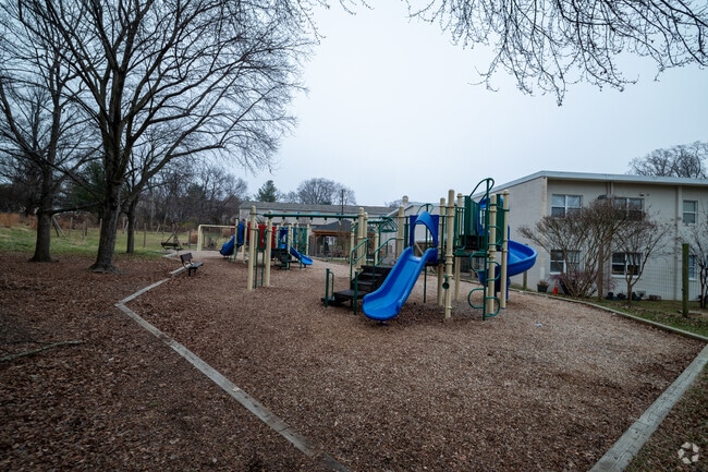 Unleash joy at Crossway Montessori Forest School's playground.
