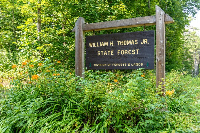 The William H. Thomas Jr. State Forest provides many recreation options in Hill, NH.