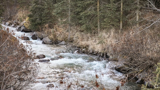Rushing streams flow down from the mountains through the valley of South Fork.