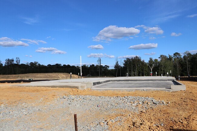 2461 Field Poppy Dr, Apex, NC 27502 - photo 5