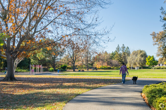 Jack Williams Park in Three Fountains has many walking trails to take your dog for a walk.