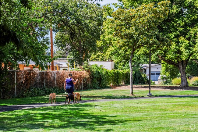 Washington is filled with relaxing walking paths.