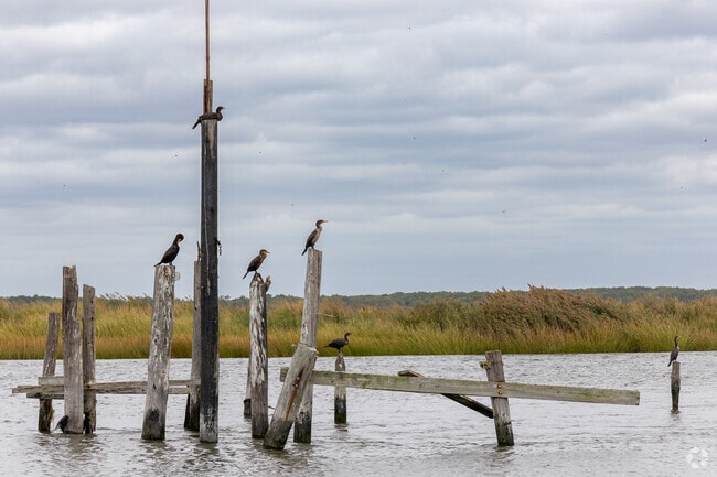 Wildlife refuge surrounds Downe Township, offering views of native birds and marshland.