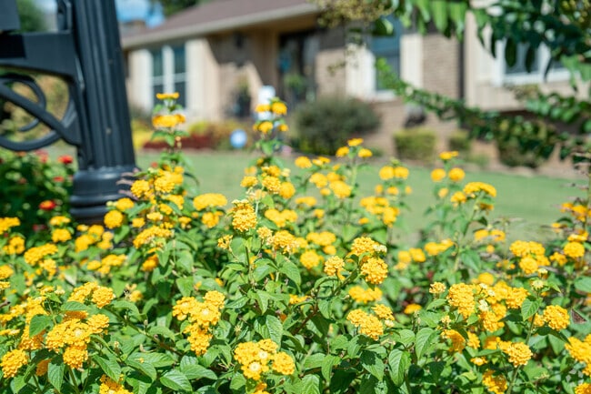 Take time to smell the flowers in Forestdale.