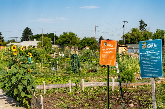 Northside's Garden City Harvest offers farm-fresh goodness.