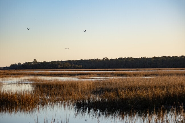 Skidaway Island is surrounded by beautiful marshes.