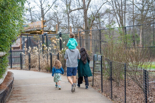 Take the family to the Birmingham Zoo in Redmont Park.