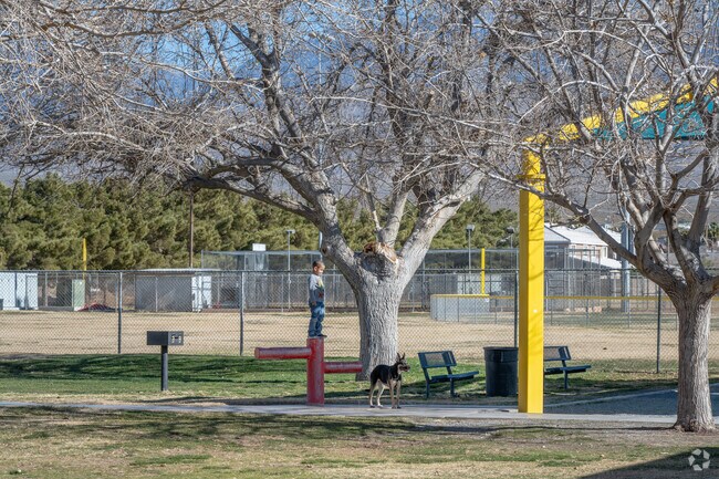 During summers, at Ian Deutch Memorial Park in Pahrump, families can watch movies outdoors.