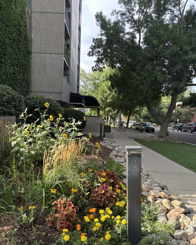 Close to Downtown Denverr