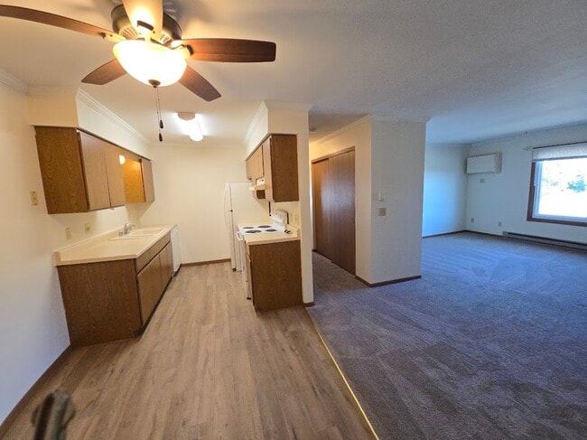 Kitchen, hall & Livingroom
