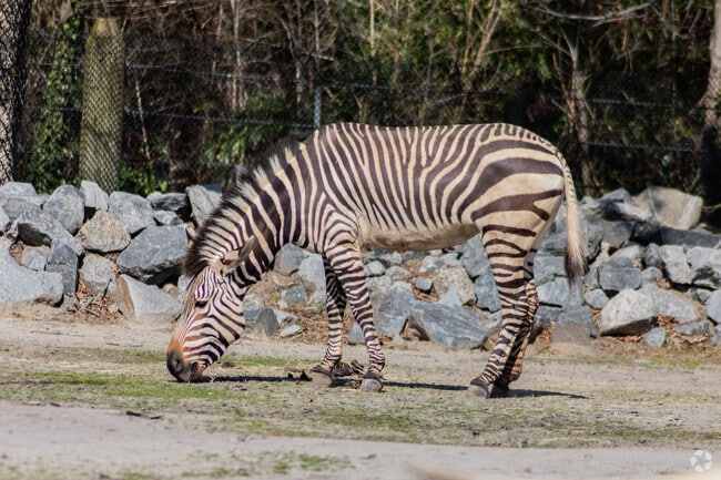 The Virginia Zoo in Lafayette-Winona is home to a variety of wildlife and special events.