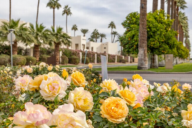 Downtown Litchfield Park features a rose garden for all to enjoy.