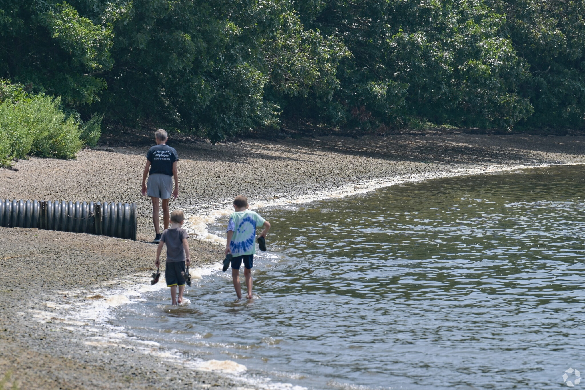 Now clean enough to wade in, the water around Bluff Point State Park in Groton had been poluted.