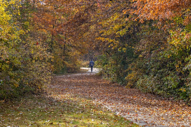 Get lost in Thorn Park in Brownstone Charter.