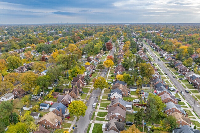 Hubbell-Puritan is a close-knit Detroit neighborhood with about 4,000 residents.