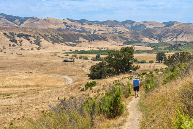 An Islay resident enjoys his morning walk along the path up to the peak of Islay Hill.
