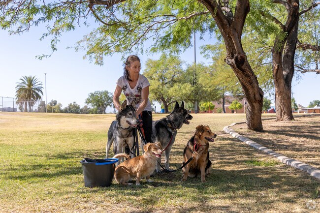 Mansfield Park has plenty of green space for people to walk their dogs under shade trees.